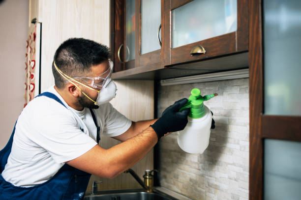 Best Pest Control for Businesses  in Leisuretowne, NJ